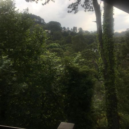 Campos do Jordão Aqui A Vida E Bella 아파트 외부 사진
